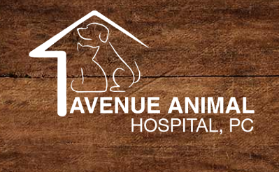 Logo for AVENUE ANIMAL HOSPITAL, PC